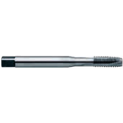 PROMEGA PLUS - MACHINETAP DIN 374 BLIND