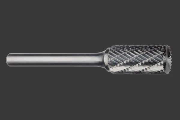 PROMEGA PLUS - FRAISE ROTATIVE CYLINDRIQUE