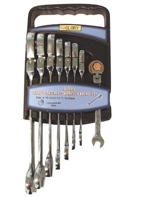 PROMEGA EVOLUTION - SET FLEXIBLE RATCHETS