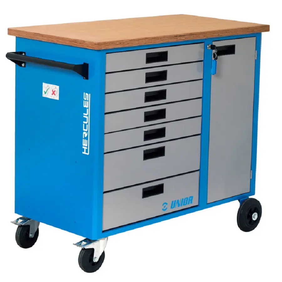 UNIOR - SERVANTE HERCULES 4